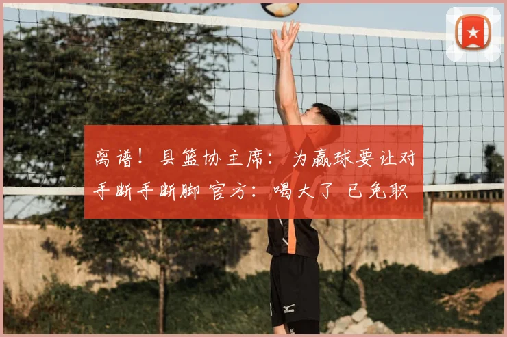 离谱!县篮协主席:为赢球要让对手断手断脚 官方:喝大了 已免职