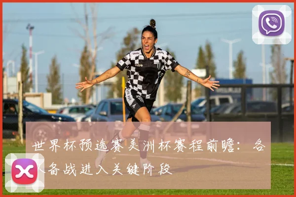 世界杯预选赛美洲杯赛程前瞻：各队备战进入关键阶段