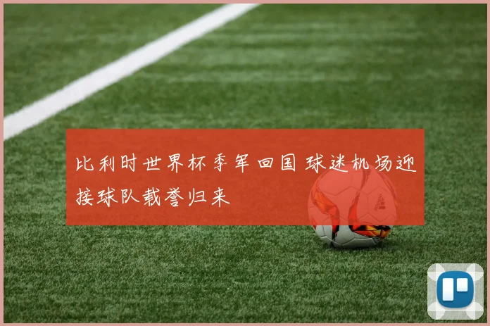 比利时世界杯季军回国 球迷机场迎接球队载誉归来