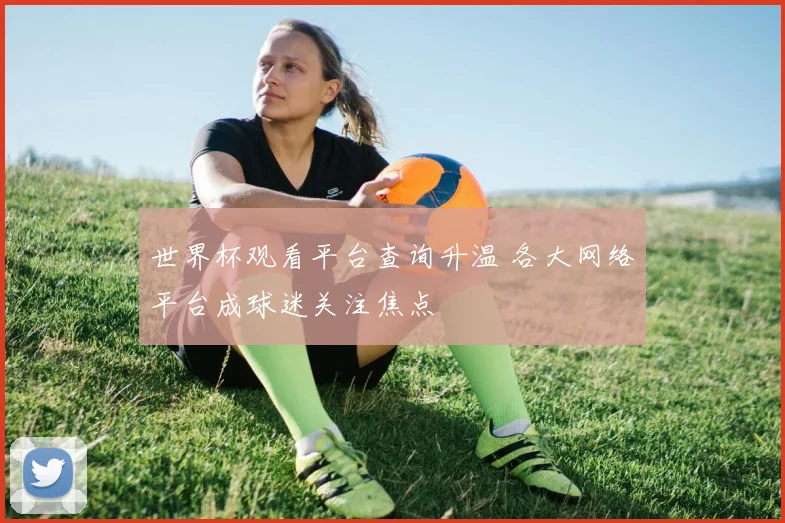世界杯观看平台查询升温 各大网络平台成球迷关注焦点