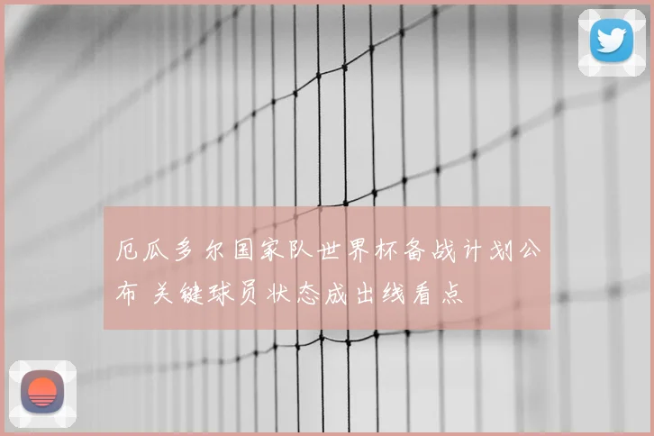 厄瓜多尔国家队世界杯备战计划公布 关键球员状态成出线看点
