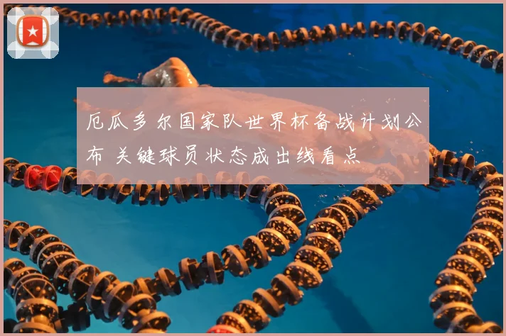 厄瓜多尔国家队世界杯备战计划公布 关键球员状态成出线看点