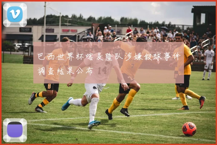 巴西世界杯喀麦隆队涉嫌假球事件调查结果公布