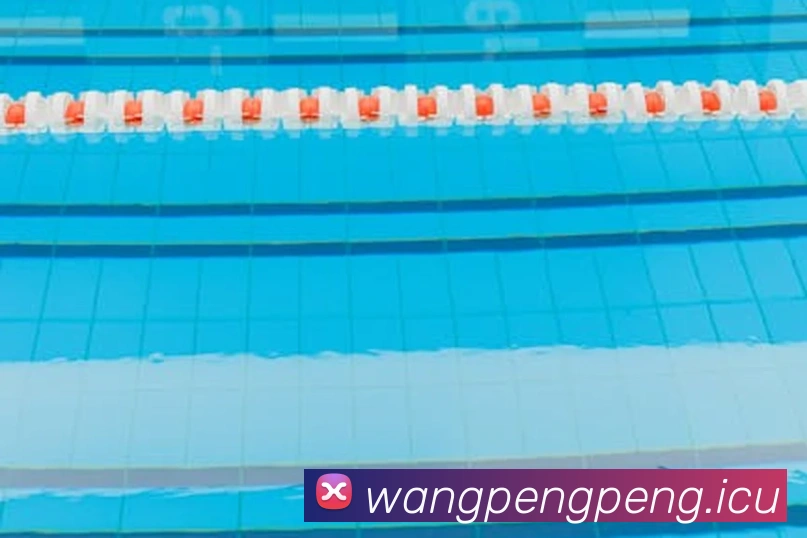 乐竞平台首页APP 体育赛事宣传图